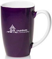 Ceramic Mugs: 17oz Color Sausalito Wide Mouth Mugs